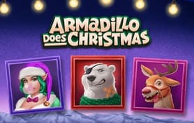 Armadillo Does Christmas - Slot matrix